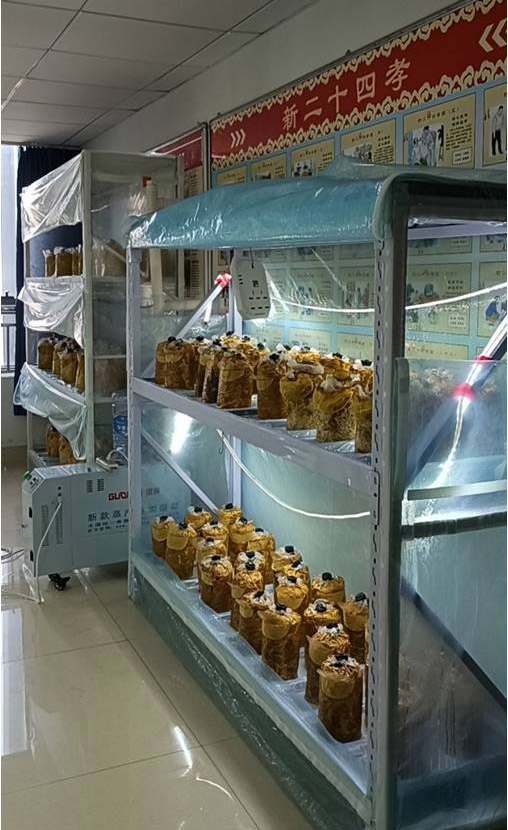图片10